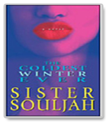 The Coldest Winter Ever Book Report 