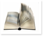 Goblet of Fire book reports