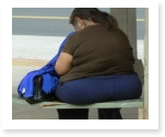 term paper on obesity