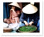 essay on Vietnam