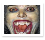 Vampire Essay