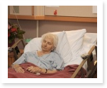 Research Papers on Euthanasia