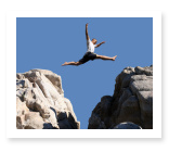 risk management essay