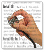 essay spell checker