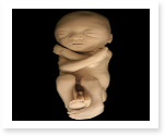 research papers on cloning