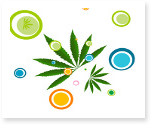 research paper on drug