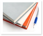 APA format essay