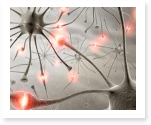 research papers on neural networks