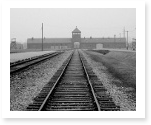 research papers on the holocaust