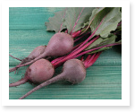 Beetroot Coursework