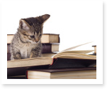 social research paper
