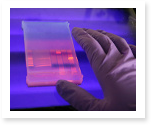 Research Papers on Bioinformatics