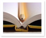 essay should reflect