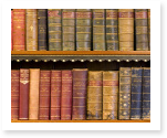 literature dissertation
