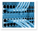 network thesis