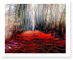 papers on image processing